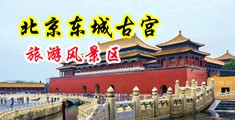 美女老师抠逼射水中国北京-东城古宫旅游风景区